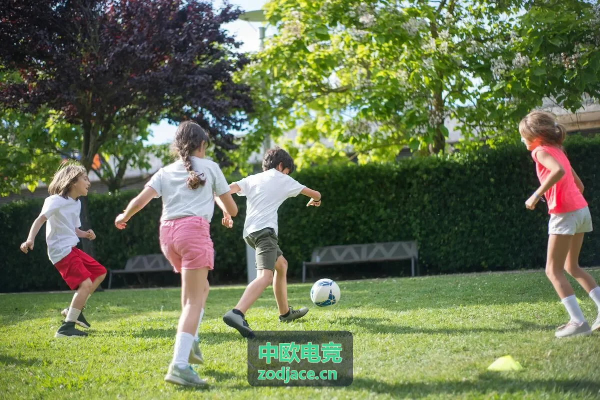 中欧电竞夏季邀请赛